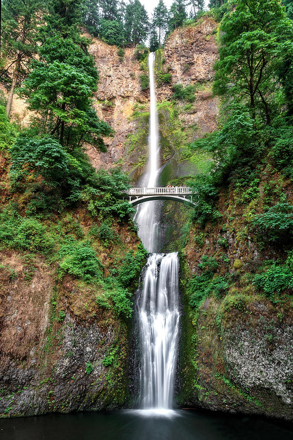 Multnomah Falls Photograph by Wes and Dotty Weber