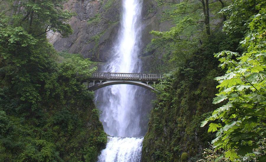 Multnomah Falls WF1051A Photograph by Mary Gaines