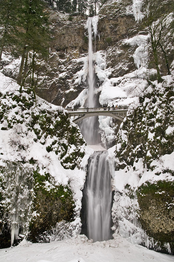 Multnomah Falls Winter Photograph by Wes and Dotty Weber