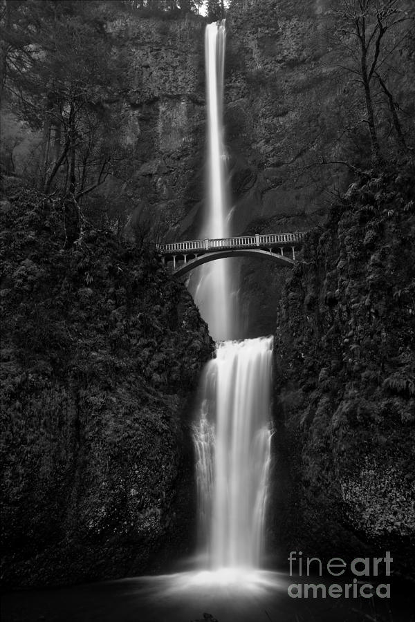 Multnomah In Black And White Photograph by Adam Jewell