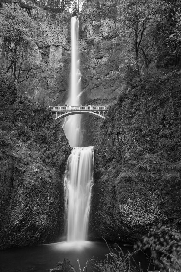 Multnomah Waterfall Black and White 2 Photograph by John McGraw