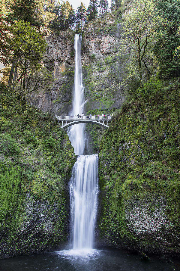 Multnomah Waterfalls Oregon in Color Photograph by John McGraw