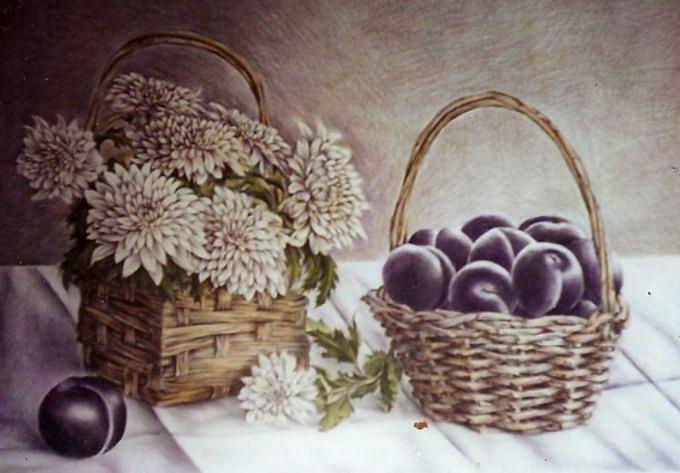 Still Life Drawing - Mums and plums by Jubamo