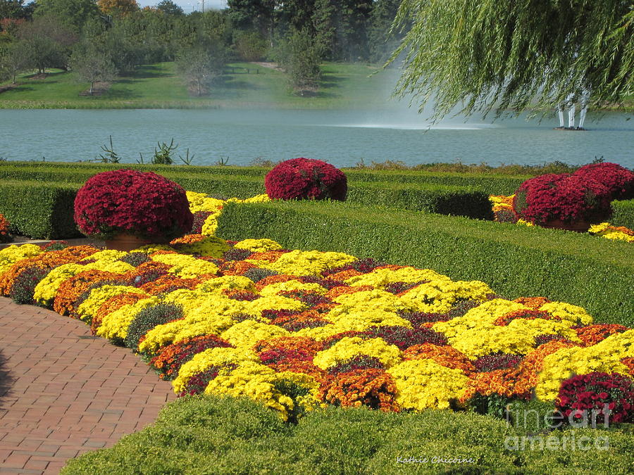 Mums by the Lake Photograph by Kathie Chicoine