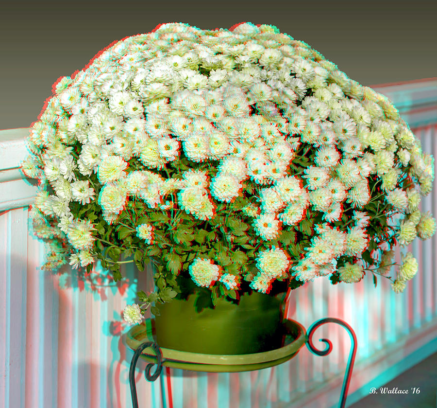 Mums On The Porch - Use Red-Cyan 3D Glasses Photograph by Brian Wallace