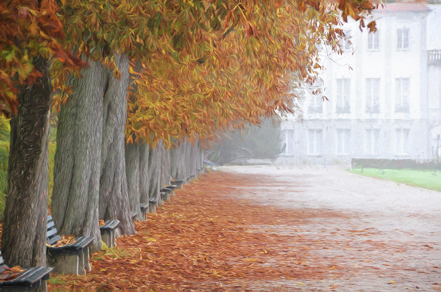 Munich, Autumn Photograph by Curt Rush