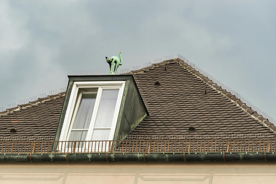 Munich Roof Charms - Kitty Cat Sculpture on a Dormer Photograph by Georgia Mizuleva