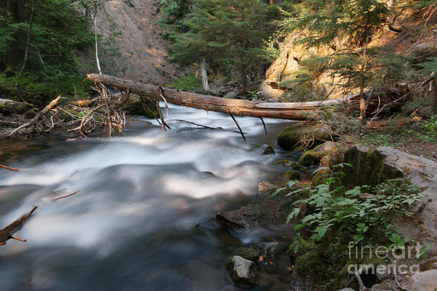 Munson Creek Photograph by Jeff Swan