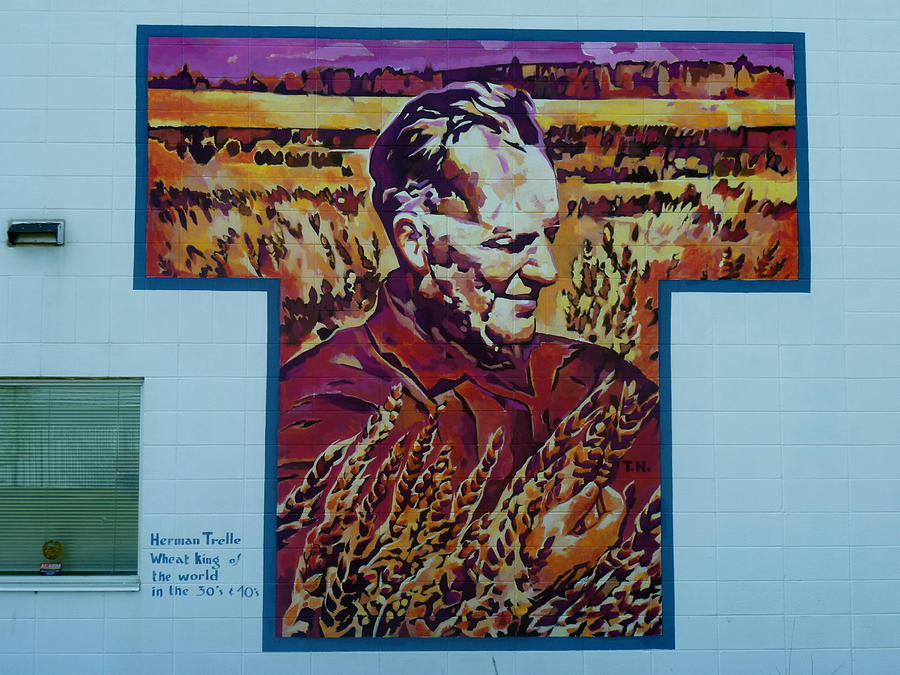 Mural 12x120 feet detail Wheat King Herman Trelle Painting by Tim  Heimdal