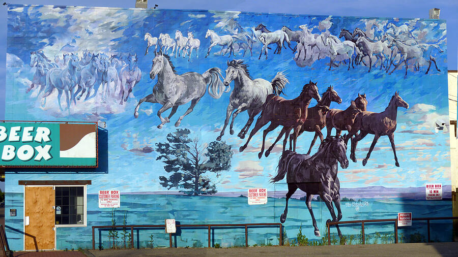 Mural,  Equus Descending 25 X 50 Painting by Tim  Heimdal