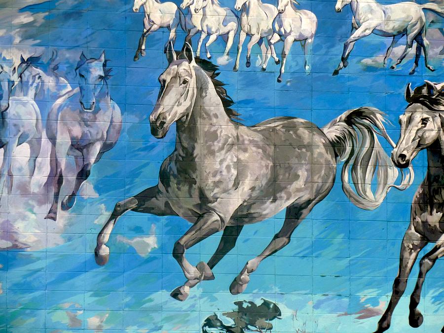 mural detail Equus Descending  Painting by Tim  Heimdal
