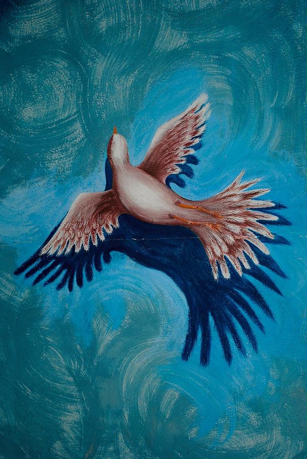 Dove Photograph - Mural in flight by Kristen Beck