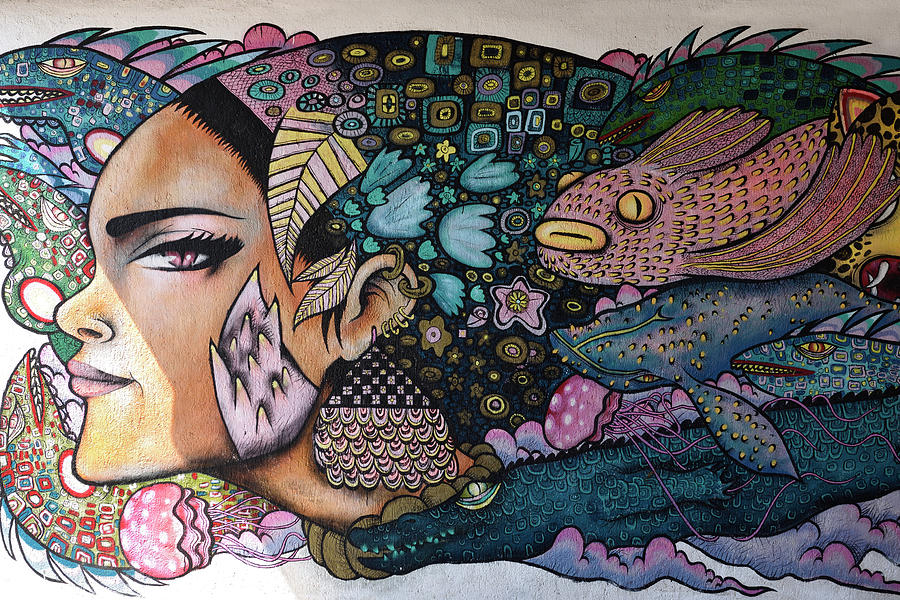 Fish Photograph - Mural of a female face with sea creatures at underpass to beach  by Reimar Gaertner
