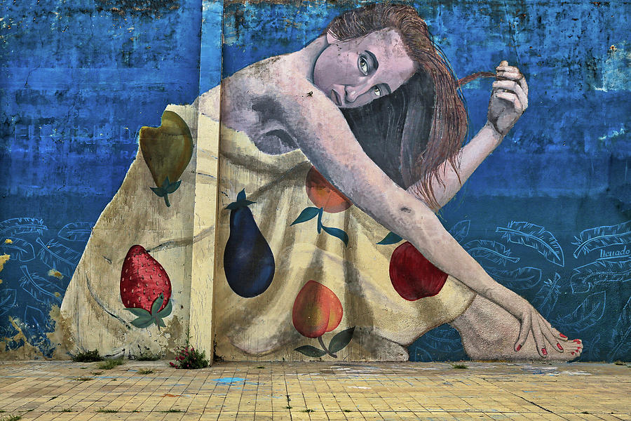 Mural of a Woman in a Fruit Dress Photograph by John Haldane