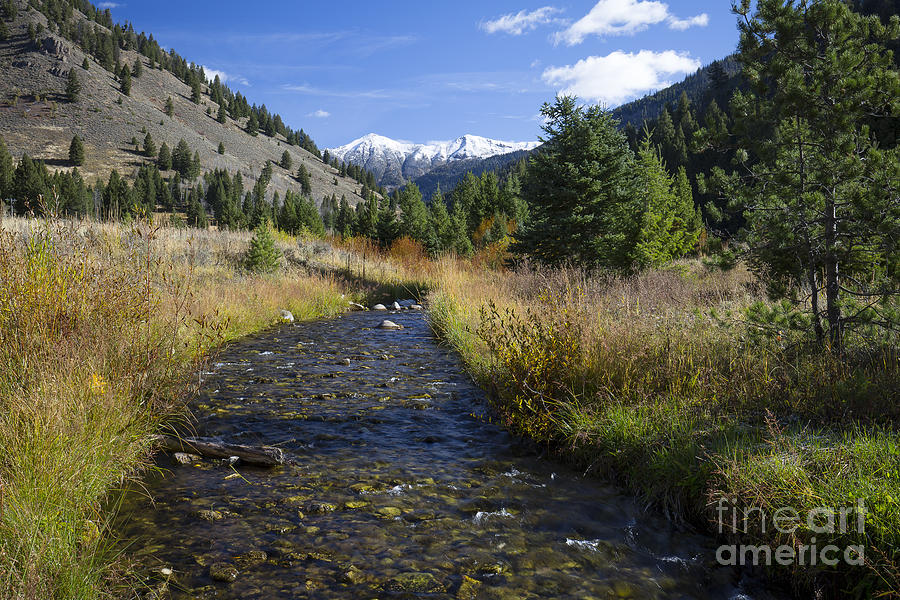 Nature Photograph - Murdock Creek by Idaho Scenic Images Linda Lantzy