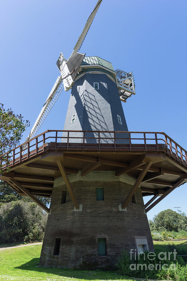 Murphy Windmill San Francisco Golden Gate Park San Francisco California DSC6337 Photograph by San Francisco