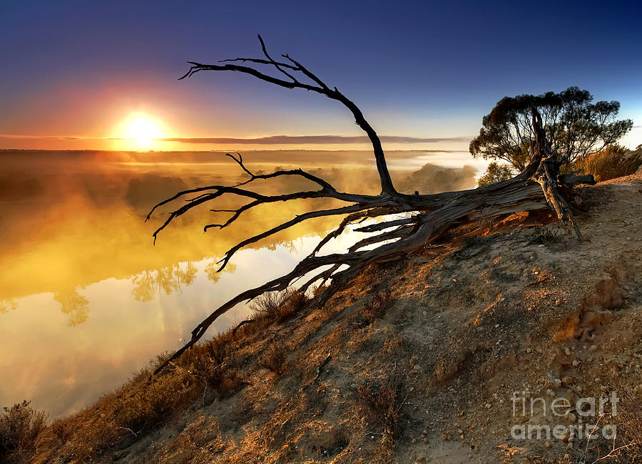 Murray River Sunrise Photograph by Bill  Robinson