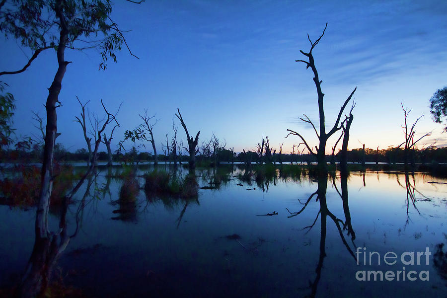 Murray River Sunrise Photograph by Douglas Barnard