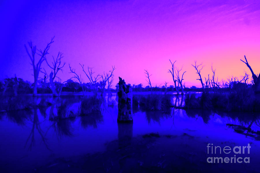 Murray River Sunrise V2 Photograph by Douglas Barnard
