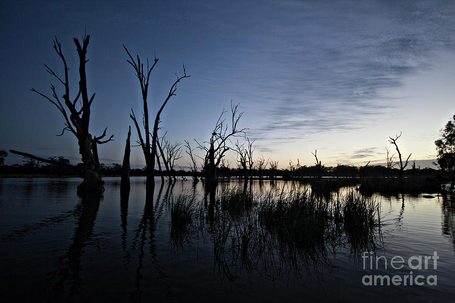 Murray River Sunrise V3 Photograph by Douglas Barnard