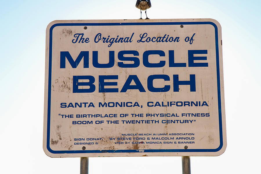 Muscle Beach Sign Photograph by Robert Hebert