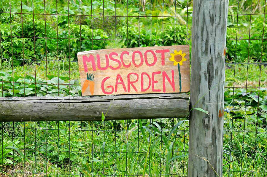 Muscoot Garden Photograph by Diana Angstadt