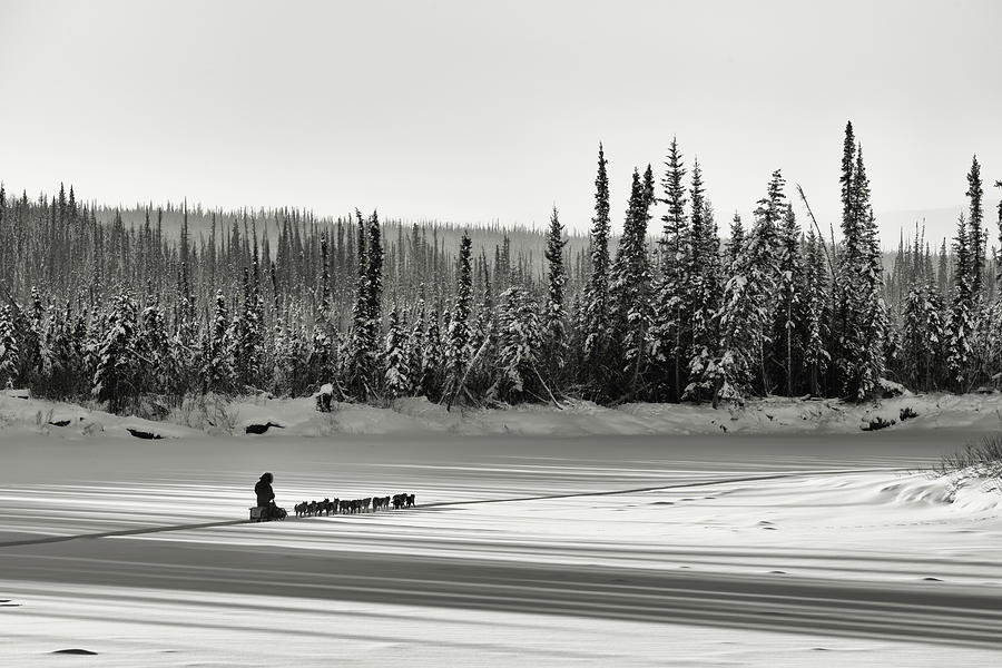 Great Alone Alaska Photograph by Scott Slone