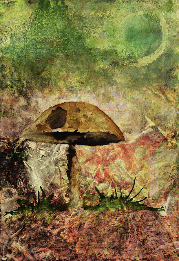 MUSHROOM by Christina VanGinkel MUSHROOM by Christina VanGinkel