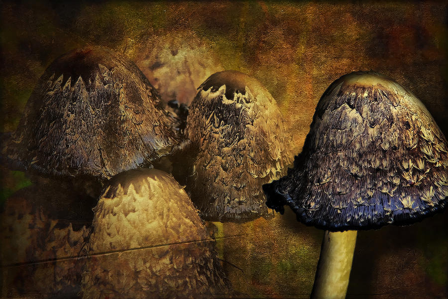Mushroom Digital Art - Mushroom City by Gary Smith
