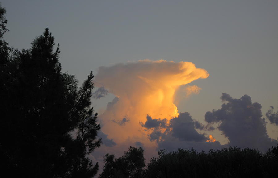 Mushroom Cloud Photograph by Lessandra Grimley
