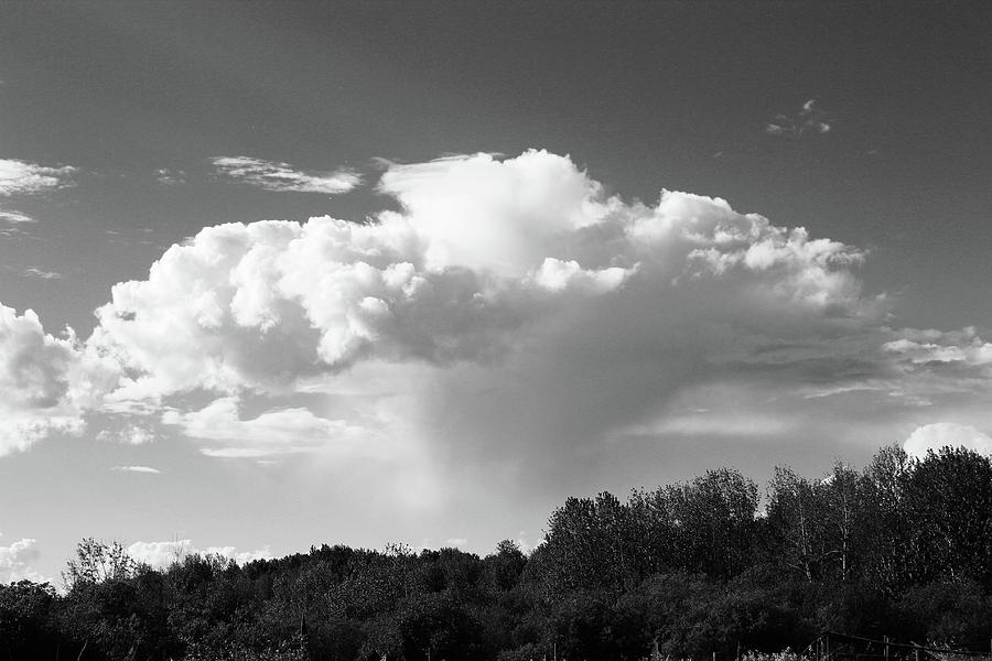 Mushroom Cloudburst Photograph by Brian Sereda
