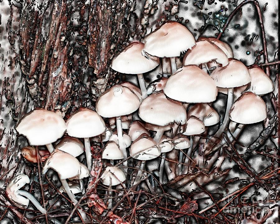 Mushroom Fun Digital Art by Smilin Eyes Treasures