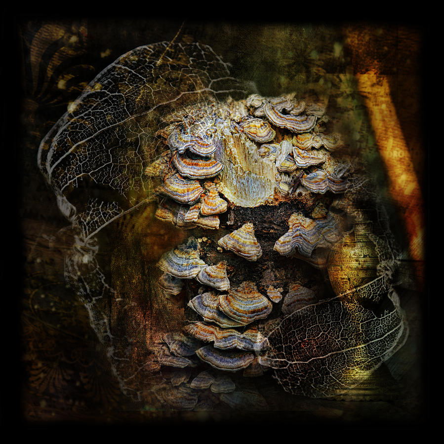 Fantasy Photograph - Mushroom Goddess 2 by Sue Capuano