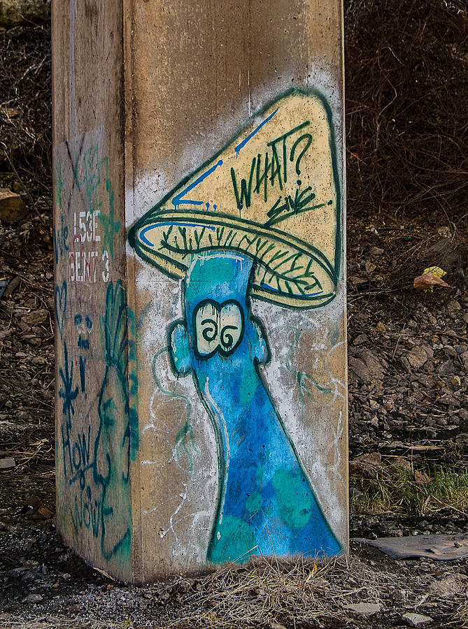 cool graffiti drawings with mushroom