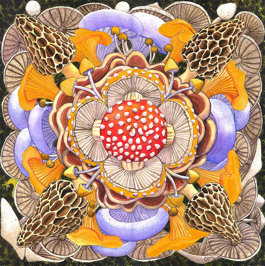 Mushroom Mandala Painting by Catherine G McElroy