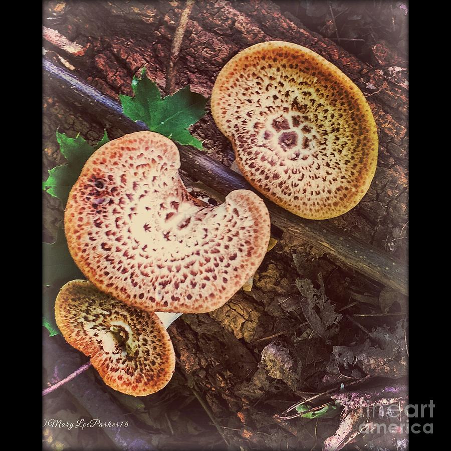Mushroom Mushroom Mixed Media by MaryLee Parker