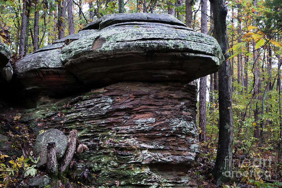 Mushroom Rock Photograph by Andrea Silies