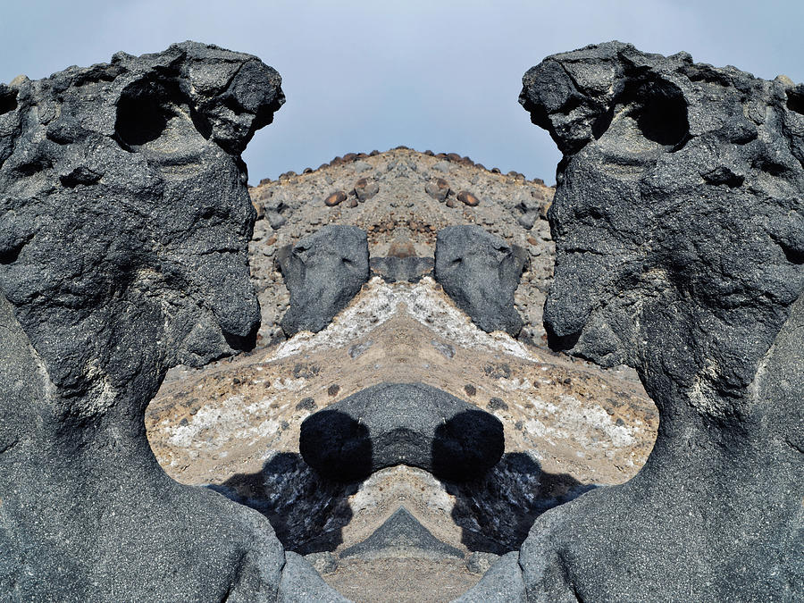 Mushroom Rock Mirror Death Valley Photograph by Kyle Hanson