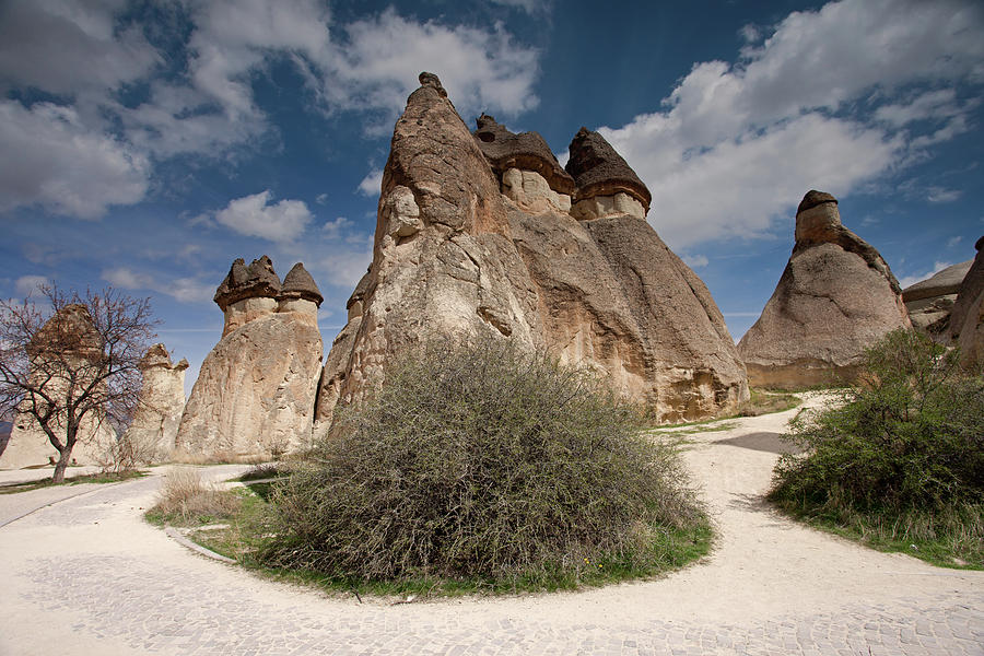 Mushroom-shaped Fairy Chimneys in Pasabag Valley, Cappadocia #2 Photograph by Aivar Mikko
