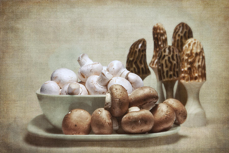 Mushrooms and Carvings Photograph by Tom Mc Nemar