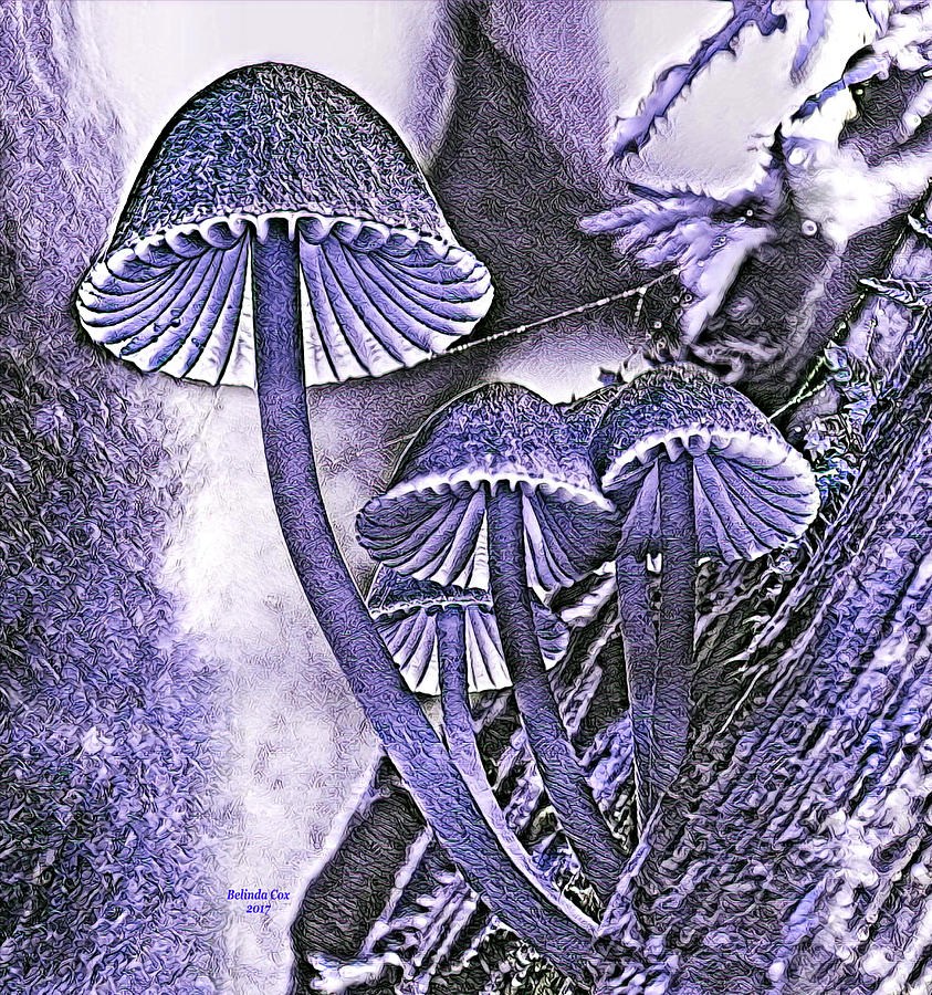 Mushrooms  Digital Art by Artful Oasis