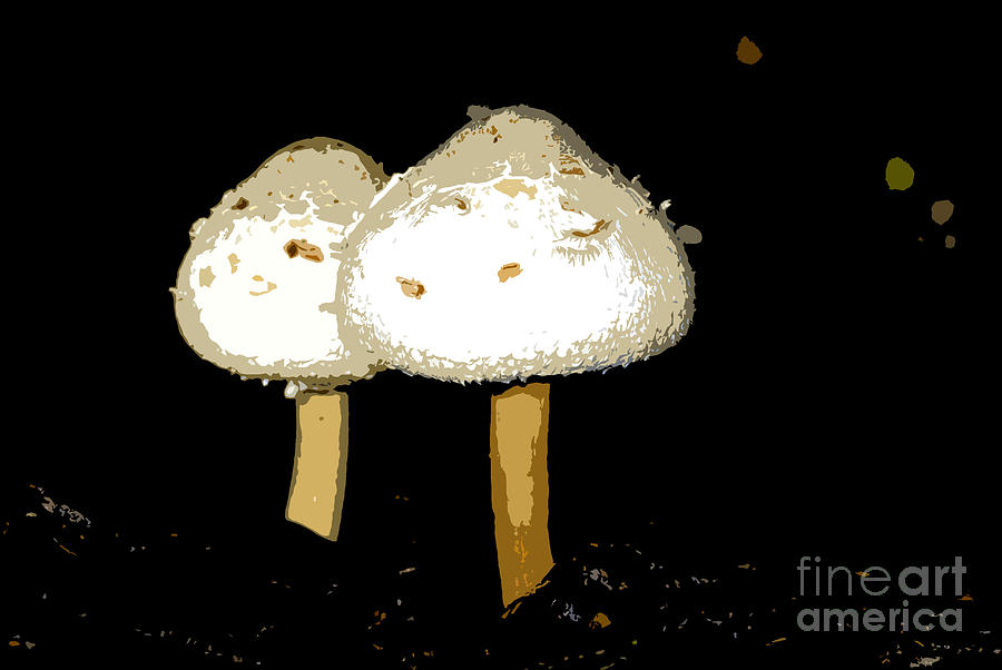 Mushrooms for Two work number 11 Photograph by David Lee Thompson