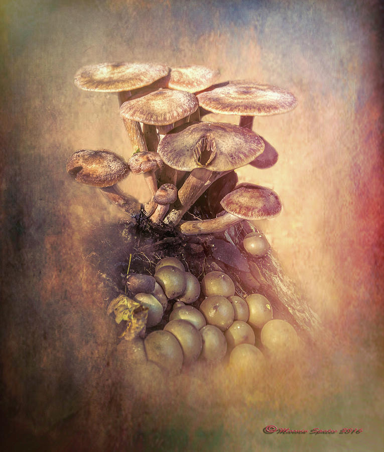 Mushrooms Gone Wild Digital Art by Marvin Spates