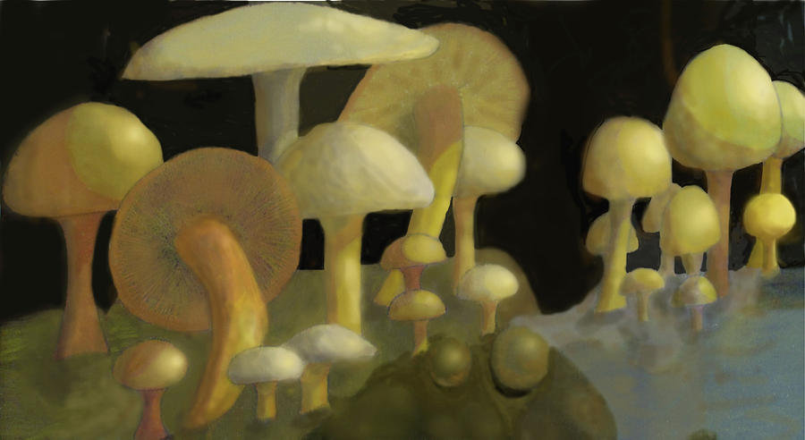 Mushrooms Digital Art by Ian  MacDonald