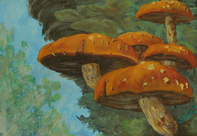 Mushroom Painting - Mushrooms by Joi Electa