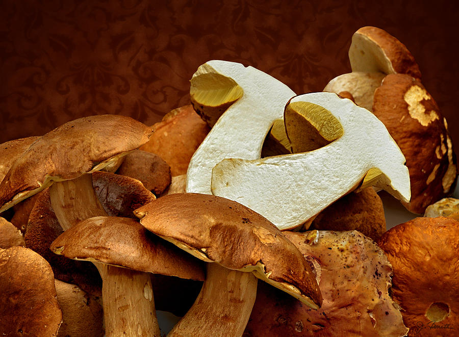 Mushrooms No. 2 Photograph by Joe Bonita