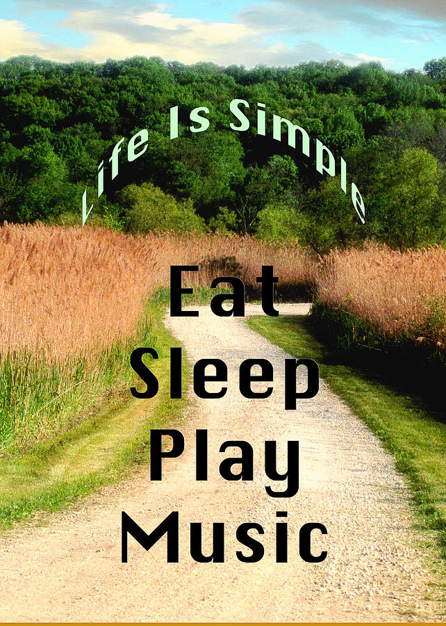 Music Eat Sleep Play Music 5506.02 Photograph by M K Miller
