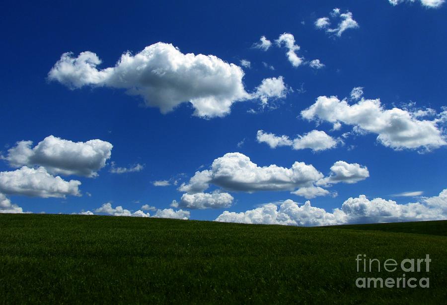 Music for Your Eyes Photograph by Janice Westerberg | Fine Art America