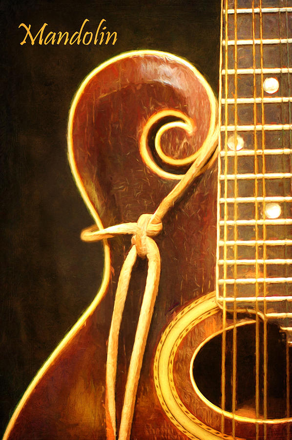 Music - Instrument - Mandolin Photograph by Nikolyn McDonald