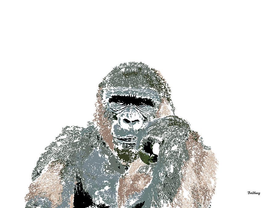 Ape Digital Art - Music Notes 23 by David Bridburg